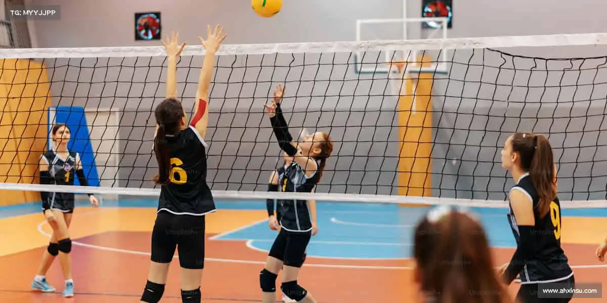 行业领先的理由